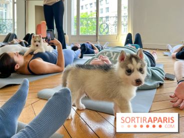 Puppy Yoga