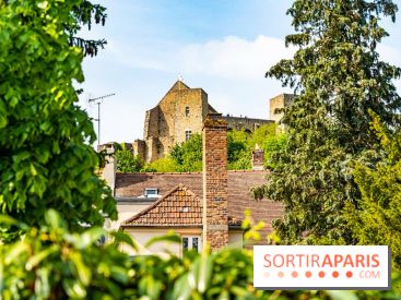 Le Château de la Madeleine à Chevreuse  -  A7C3890
