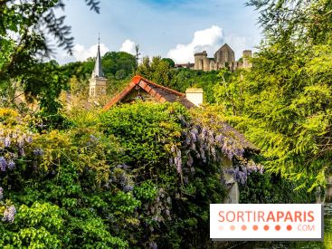 Le Château de la Madeleine à Chevreuse  -  A7C3910
