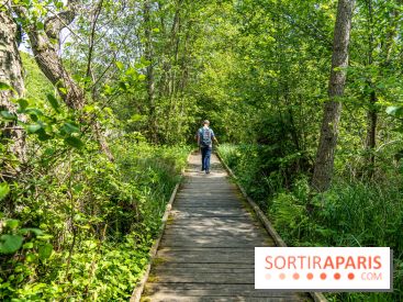 Sentier découverte de Maincourt - Vallée de Chevreuse -  A7C4083