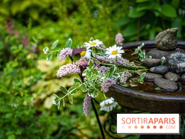 Les Jardins de Sonja au Perray-en-Yvelines -  A7C5023