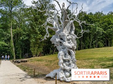 Perchoir Y, restaurant par Guillaume Sanchez et guinguette en forêt -  A7C5873
