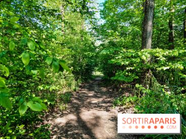 Balade nature dans la forêt de Montmorency, nos photos