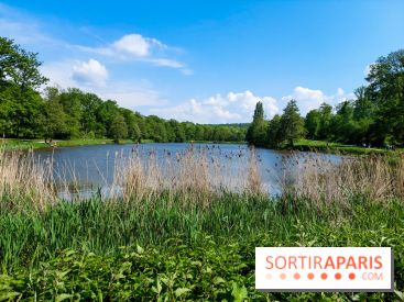 Balade nature dans la forêt de Montmorency, nos photos