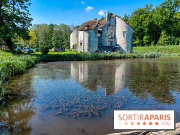 Balade nature dans la forêt de Montmorency, nos photos