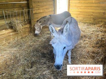 La ferme de la Villette et ses animaux