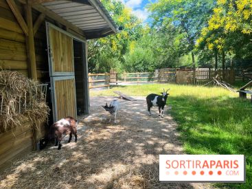 La ferme de la Villette et ses animaux
