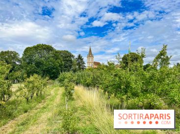 Cergy, la ville aux milles facettes - image00130