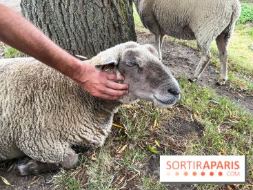La ferme de Saint-Cyr l'Ecole - image00075