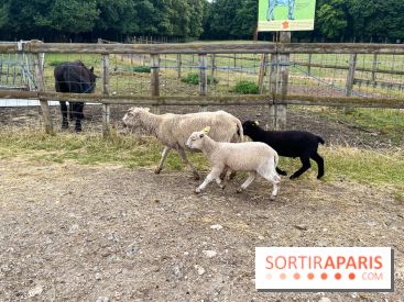La ferme de Saint-Cyr l'Ecole - image00041
