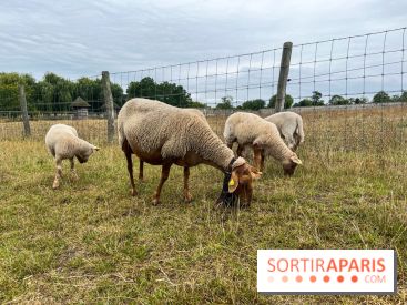 La ferme de Saint-Cyr l'Ecole - image00033