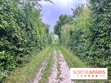 Le parc de la Haute-Île à Neuilly-sur-Marne - image00003