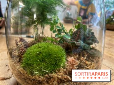 Boby la Plante