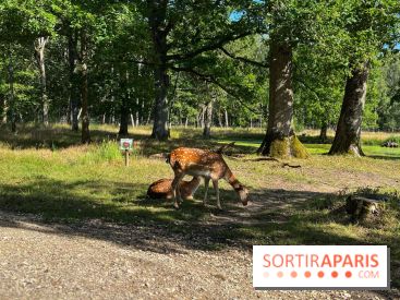 Espace Rambouillet - IMG 4425