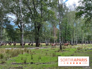 Espace Rambouillet