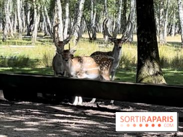 Espace Rambouillet - IMG 4544