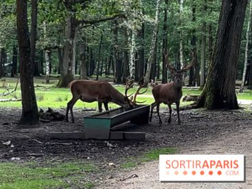 Espace Rambouillet - IMG 4547