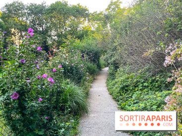 Le parc de Belleville - image00019