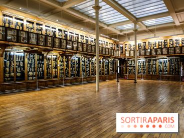 Musée des Moulages à Paris, nos photos - IMG 0841