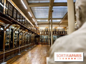 Musée des Moulages à Paris, nos photos