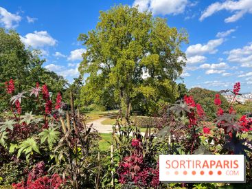 Parc de la butte du chapeau rouge