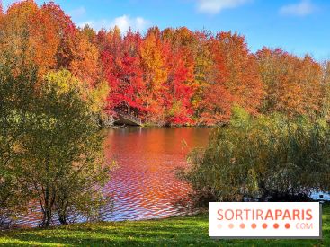 Bassin - étang de la Boissière à Elancourt