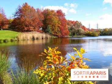 Bassin - étang de la Boissière à Elancourt