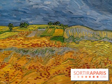 Exposition Van Gogh au Musée d’Orsay - Auvers-sur-Oise, les derniers mois -  A7C3103