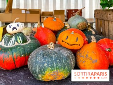 Automne au Potager du Roi - Citrouilles - Halloween