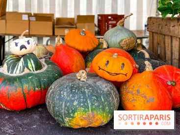 Automne au Potager du Roi - Citrouilles - Halloween