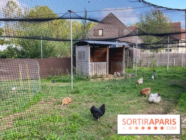 La ferme pédagogique du parc des Chanteraines - image00046