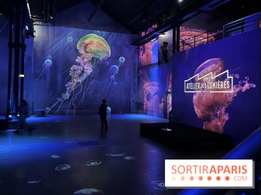 Océans, l'Odyssée Immersive à l'Atelier des Lumières - IMG 6095