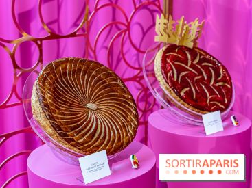 Les bûches de Noël 2023 et galettes 2024 de Pierre Hermé