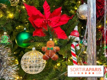 Les vitrines et décors de Noël 2023 du Bon Marché Rive Gauche
