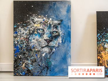 Le festival Street Art gratuit à la Poste du Louvre  -  A7C8170