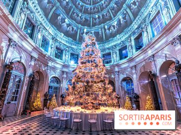 Le Grand Noël au Château de Vaux le Vicomte 2023 - photo -  A7C8269