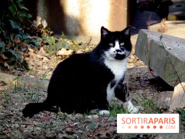 Le Père Lachaise, le cimetière le plus mythique de Paris et ses tombes de personnalités célèbres