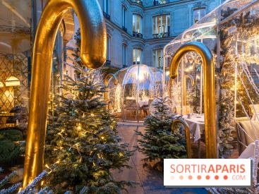 Le Tea Time du Joy à l'Hôtel Fouquet's sur sa terrasse d'hiver enchantée -  A7C9661