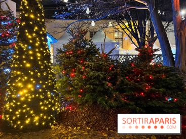 Bel Hiver 2023 à Saint-Denis - nos photos - image00013