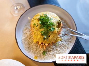 Les Fines Gueules - Araignée entière décortiquée