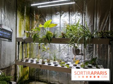 La Caverne, ferme urbaine bio à Paris, nos photos - IMG 2208