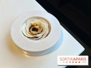 Vaisseau d'Adrien Cachot - Champignons