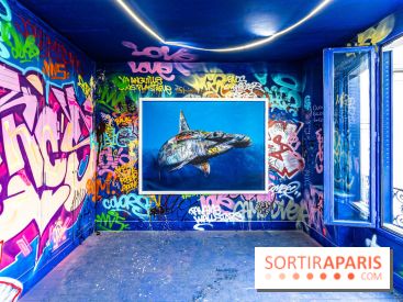 Colors Festival 2024, la nature reprend ses droits  -  A7C5734