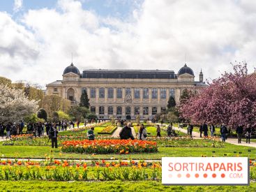 Visuel Paris 5e -  jardin des plantes - museum - printemps - cerisiers