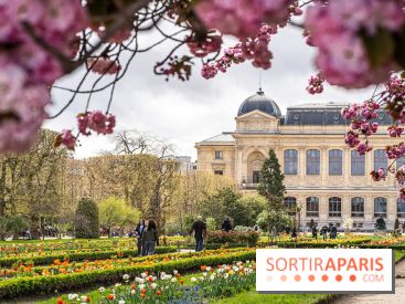 Visuel Paris 5e -  jardin des plantes - museum - printemps - cerisiers