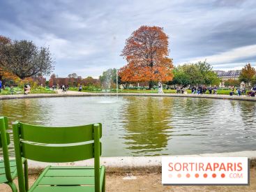Visuel Paris 1er - jardin des Tuileries automne