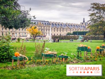 Visuel Paris 1er - jardin des Tuileries automne