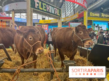 Salon de l'agriculture 2024