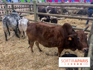 Salon de l'agriculture 2024 - image00002