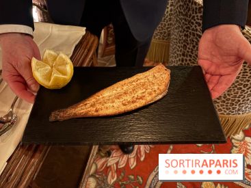 Chez Suzy : une table raffinée et accessible au cœur de l’Hôtel Regina